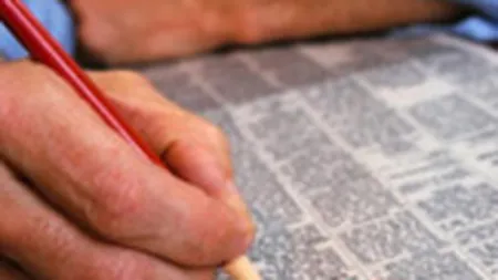 INS: Rata somajului a fost de 5,6% in T2