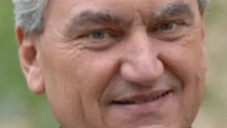 Negritoiu, ING: Cresterea nivelului de garantii pentru depozite nu e necesara