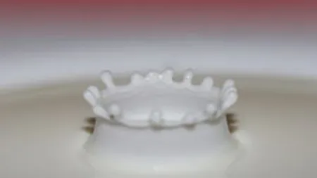 SIF Oltenia a vandut luni actiuni Lacta Giurgiu de 760.000 euro