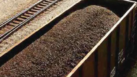 Compania CFR Marfa ar putea fi privatizata in 2009