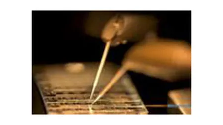 Intel si-a crescut profitul cu 12% in T3, dar priveste viitorul cu ingrijorare