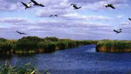 Numarul turistilor din Delta a crescut cu 250% in primele 9 luni din 2008