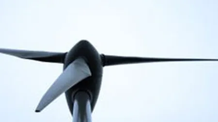 Farinsan vrea centrala eoliana de 1,5 milioane euro in zona Giurgiu