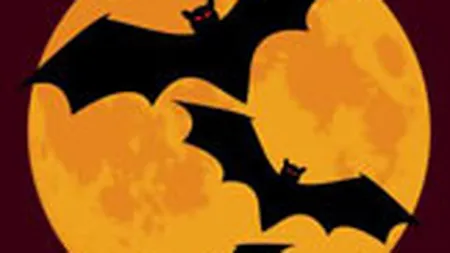 Octombrie-rosu, luna de cosmar la Bursa de Valori Bucuresti