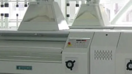 Sapte Spice: Cifra de afaceri a crescut cu 12% la 9 luni