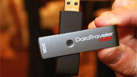 Kingston: Afaceri de 7 mil. euro la 10 luni, cu un singur angajat