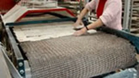 Romania, pe locul 2 in UE dupa cresterea anuala a preturilor industriale in octombrie