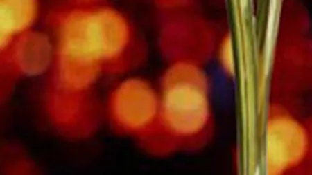 Leo Burnett si Saatchi&Saatchi, premiate la Eurobest 2008