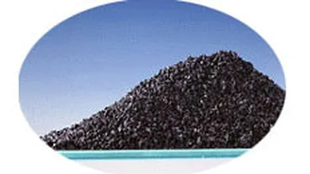 Romcarbon castiga 9 mil. euro si 30% dintr-o firma, in urma unui schimb de terenuri