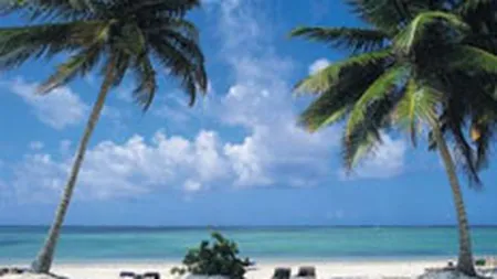 Cele mai citite articole ale saptamanii pe DailyBusiness.ro