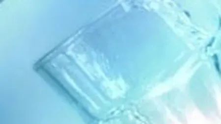 Biborteni vizeaza o cota de 7% din vanzarile de apa minerala pe 2009