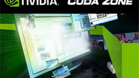 nVidia a pierdut cota de piata in Romania, dar si-a crescut vanzarile in 2008