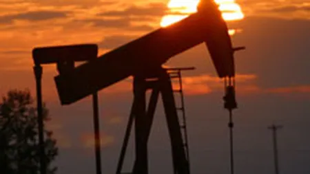 OPEC: Pretul petrolului se va stabiliza in ianuarie-februarie