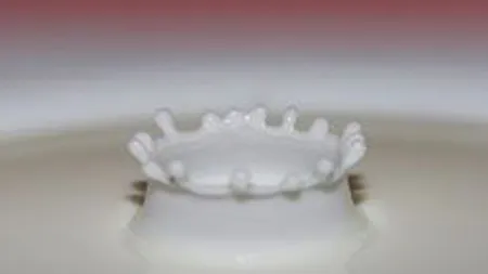 Concurenta a autorizat preluarea Raraul de catre Albalact