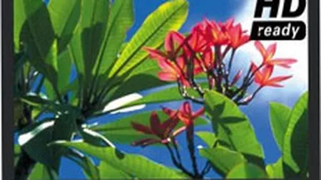 UE vrea sa interzica vanzarea de plasme. Panasonic: \Legea e nerealista\