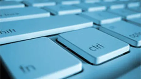 Aproape 100.000 de domenii au fost inregistrate anul trecut pe \.ro\