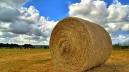 Proiect de 500.000 euro la Vaslui, de transformare a paielor in energie