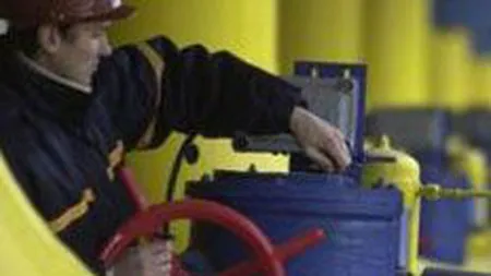 5 consumatori industriali vor primi gaze suplimentar