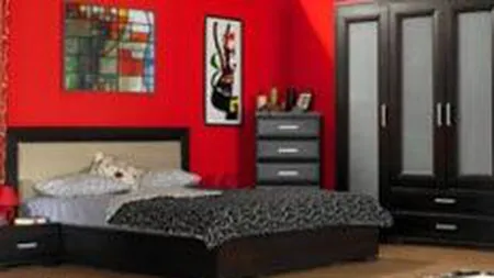 Elvila vrea sa deschida magazine in franciza in 50 de orase din tara