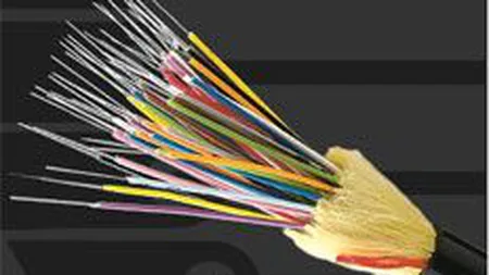 Sistec si-a crescut afacerile cu 28% in 2009, pana la 9 mil. euro