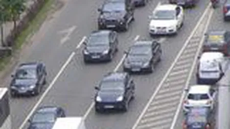 Asigurarile Casco pierd prima runda a luptei cu criza