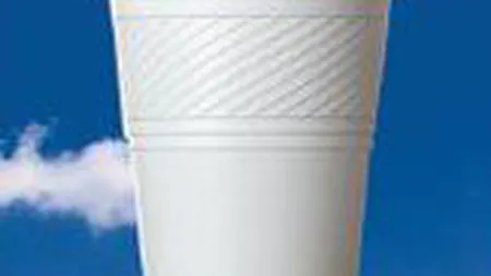 Grupul RPC vrea sa-si vanda fabrica din Romania