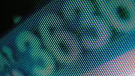 SIF-urile s-au apreciat cu circa 2% in ultima saptamana, Bursa a scazut cu peste 4%