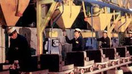 Armatura si-a redus de peste 5 ori pierderile in 2008, pe afaceri in scadere