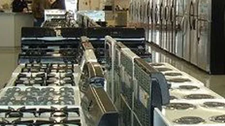 GfK: Piata bunurilor de folosinta indelungata a crescut cu 11,5% in 2008