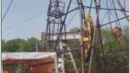 Atlas Gip: Profit in crestere cu 43,5% in 2008, pana la 6,6 mil. euro