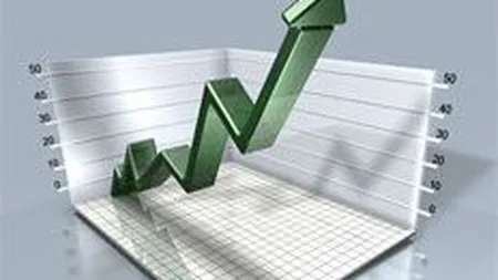 Ce afaceri au realizat principalii \publicitari\ din online in 2008