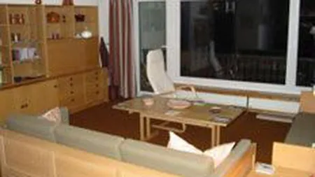 Zilisteanu: Locuintele s-ar putea ieftini cu 25% in 2009, daca nu se reia creditarea