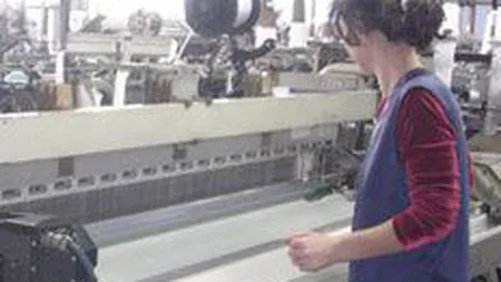 Matasea Romana si-a adancit usor pierderile in 2008, la 147.000 euro