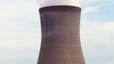 Productia Nuclearelectrica a crescut cu 72% anul trecut