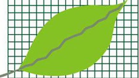 Bursa si-a accelerat cresterea dupa prima jumatate de ora, pe un rulaj de 5 ori mai mare