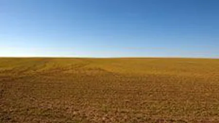 Pretul mediu al terenurilor tranzactionate a crescut cu 30% in 2008