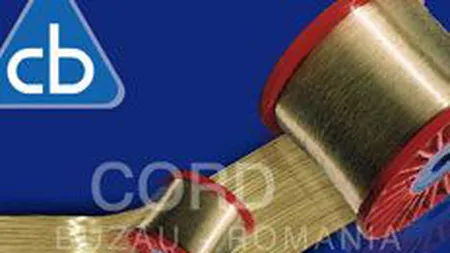 Cord Buzau vrea sa garanteze credite de pana 61 mil. $ cu toate bunurile firmei