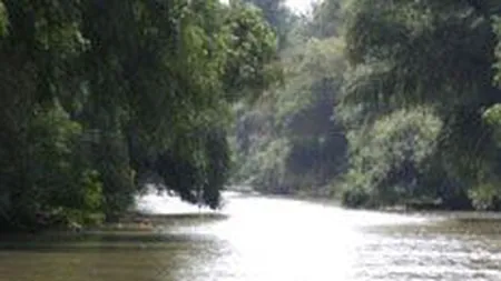 Afaceri de 2 mil. euro pe an, criteriu la licitatia pentru brandul de tara