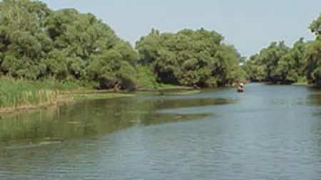 Udrea: Marii operatori de croaziere sunt interesati doar de Delta Dunarii