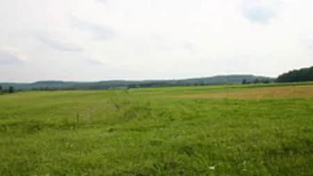 Comnord va cumpara 2 terenuri de 7,5 mil. euro de la  propriul actionar majoritar