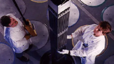 Dan Ionescu a fost numit director general al  EnergoNuclear