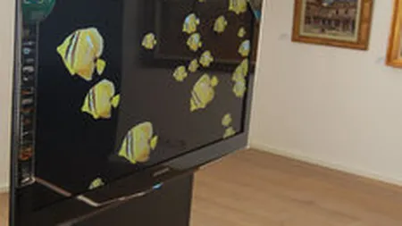 LCD-uri anti-criza: In primele 2 luni a crescut numarul de unitati vandute