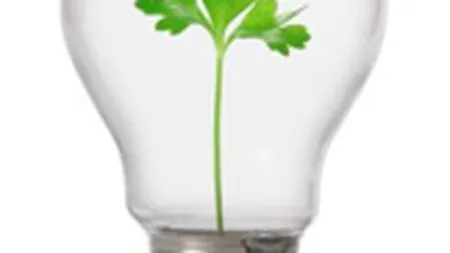 Braun & Partners: Companiile romanesti se afla in prima faza de dezvoltare a CSR-ului