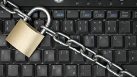 Pirateria software a cauzat anul trecut pierderi de 249 mil. $ in Romania