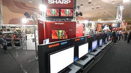 Editia CERF 2009 va fi dedicata exclusiv componentei Business-to-Business