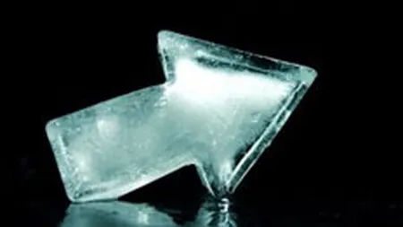 SIF Moldova si SIF Oltenia au saltat luni cu peste 7% indicele BET-FI