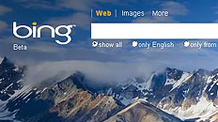 Ballmer, Microsoft: Timp de 5 ani, vom investi pana la 10% din profit in dezvoltarea Bing