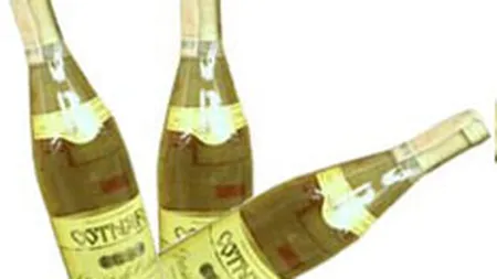 Afacerile Cotnari vor stagna in 2009, la 30 mil. euro