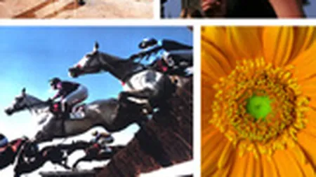 Agentia de turism TravelBiz a inregistrat venituri in crestere cu 7% in S1