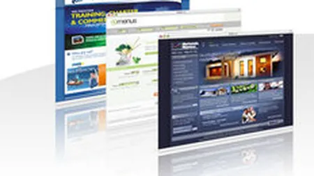 Si la case mai mari: 40% dintre IMM-urile din SUA nu au site-uri web